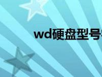 wd硬盘型号字母的意义 wd硬盘 