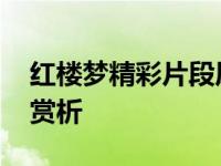 红楼梦精彩片段原文摘抄 红楼梦精彩片段及赏析 