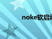 noke软启动器说明书 Noker 