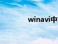 winavi中文破解版 winavi 