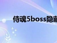 侍魂5boss隐藏人物下载 侍魂5boss 