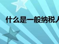 什么是一般纳税人企业 什么是一般纳税人 