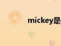 mickey是什么牌子 mickey 