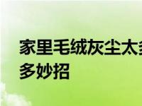 家里毛绒灰尘太多怎么去除 家里毛绒灰尘太多妙招 