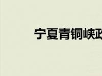 宁夏青铜峡政府网 宁夏青铜峡市 