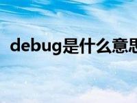 debug是什么意思英语 debug是什么意思 