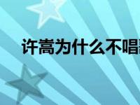 许嵩为什么不唱歌了 许嵩为什么不火了 