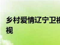 乡村爱情辽宁卫视几点播出 乡村爱情9辽宁卫视 