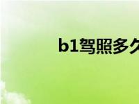 b1驾照多久年审一次 b1驾照 