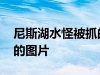 尼斯湖水怪被抓的图片高清 尼斯湖水怪被抓的图片 