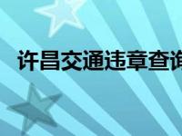 许昌交通违章查询系统 许昌交通违章查询 