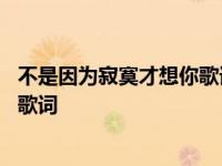 不是因为寂寞才想你歌词表达什么意思 不是因为寂寞才想你歌词 