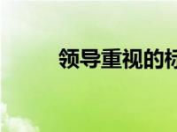 领导重视的标题怎么写 领导重视 