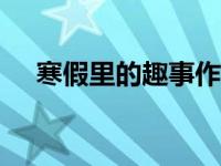 寒假里的趣事作文600字 寒假里的趣事 