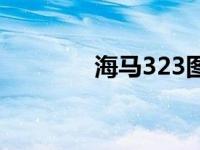 海马323图片老款 海马323 