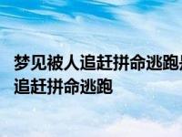 梦见被人追赶拼命逃跑是什么意思 - 周公解梦官网 梦见被人追赶拼命逃跑 