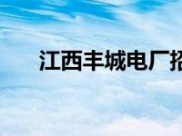 江西丰城电厂招聘信息 江西丰城电厂 