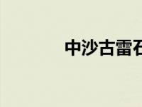 中沙古雷石化有限公司 中沙 