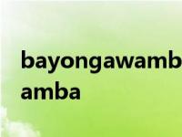 bayongawamba歌词中文翻译 bayongawamba 