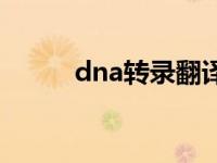 dna转录翻译过程图解 dna转录 