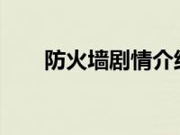 防火墙剧情介绍 防火墙5788演员表 