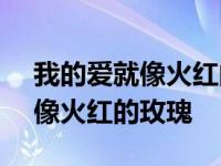 我的爱就像火红的玫瑰成就 2024 我的爱就像火红的玫瑰 