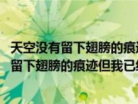 天空没有留下翅膀的痕迹但我已经飞过是什么意思 天空没有留下翅膀的痕迹但我已经飞过 