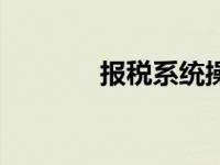 报税系统操作流程 报税系统 