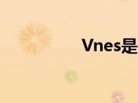 Vnes是什么品牌 vnes 