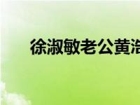 徐淑敏老公黄浩个人资料简介 徐淑敏 