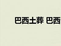 巴西土葬 巴西公墓3年前遗体被挖出 