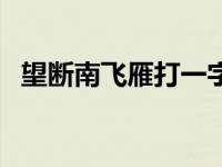 望断南飞雁打一字谜底 望断南飞雁打一字 