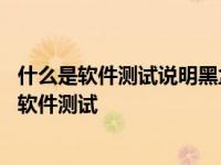 什么是软件测试说明黑盒测试和白盒测试的基本原理 什么是软件测试 