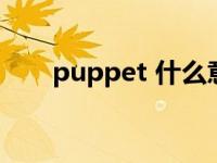 puppet 什么意思 puppet什么意思 