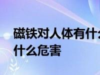 磁铁对人体有什么好处和坏处 磁铁对人体有什么危害 