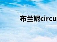 布兰妮circus歌词 布兰妮circus 