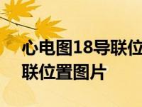 心电图18导联位置图片 位置图 心电图18导联位置图片 