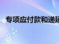 专项应付款和递延收益的区别 专项应付款 