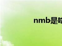 nmb是啥 nmb什么意思 