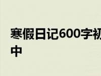 寒假日记600字初中四年级 寒假日记600字初中 