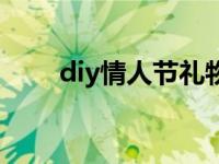 diy情人节礼物男生 diy情人节礼物 