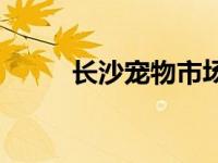 长沙宠物市场视频 长沙宠物市场 