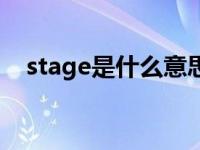 stage是什么意思中文 stage是什么意思 