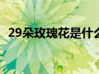 29朵玫瑰花是什么意思 七朵玫瑰什么意思 