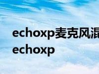 echoxp麦克风混响效果器 v3.0 中文绿色版 echoxp 