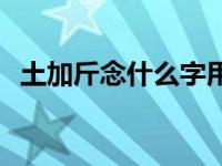 土加斤念什么字用在姓氏里 土加斤念什么 