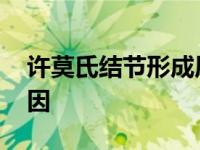 许莫氏结节形成原因图 许莫氏结节形成的原因 