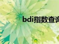 bdi指数查询软件 bdi指数查询 