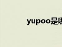 yupoo是哪个国家的 yupoo 