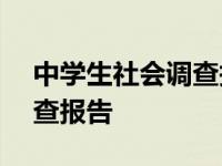 中学生社会调查报告范文300 中学生社会调查报告 